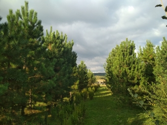 Fotka, volna-poda, 64