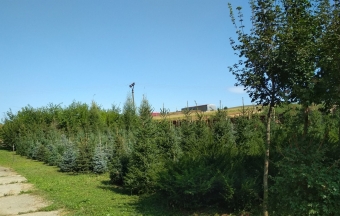 Fotka, volna-poda, 73