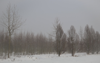 Fotka, zima-u-nas, 86