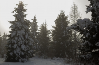 Fotka, zima-u-nas, 88